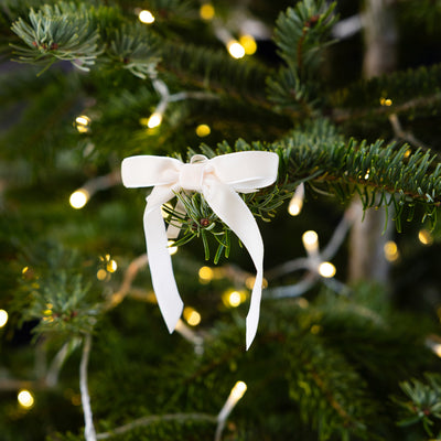 Red & Cream Velvet Bows - 8 Pack | Everyday Decor |
