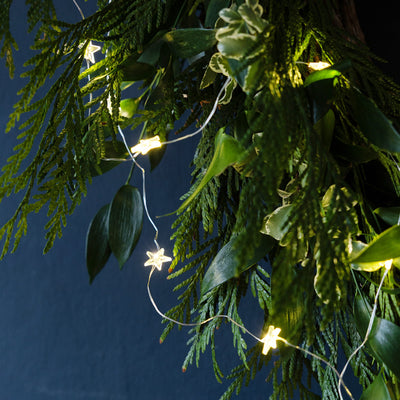 Gilded Star String Lights - 3m | Everyday |