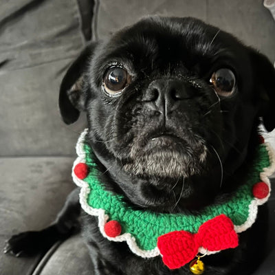 Crochet Christmas Dog Collar