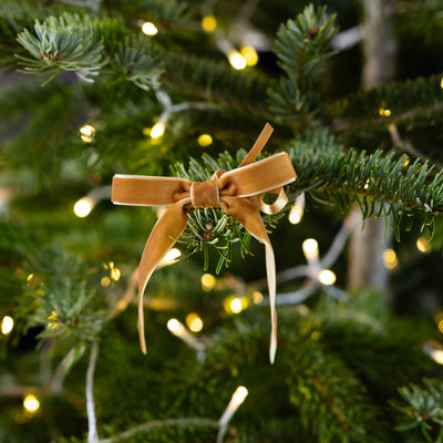 Gold & Cream Velvet Bows - 8 Pack | Christmas Decor |