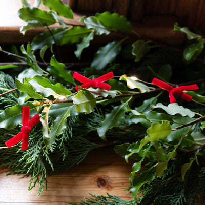 Bow String Lights - 2m