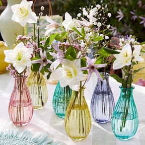 Boho Glass Bud Vases Starter Set