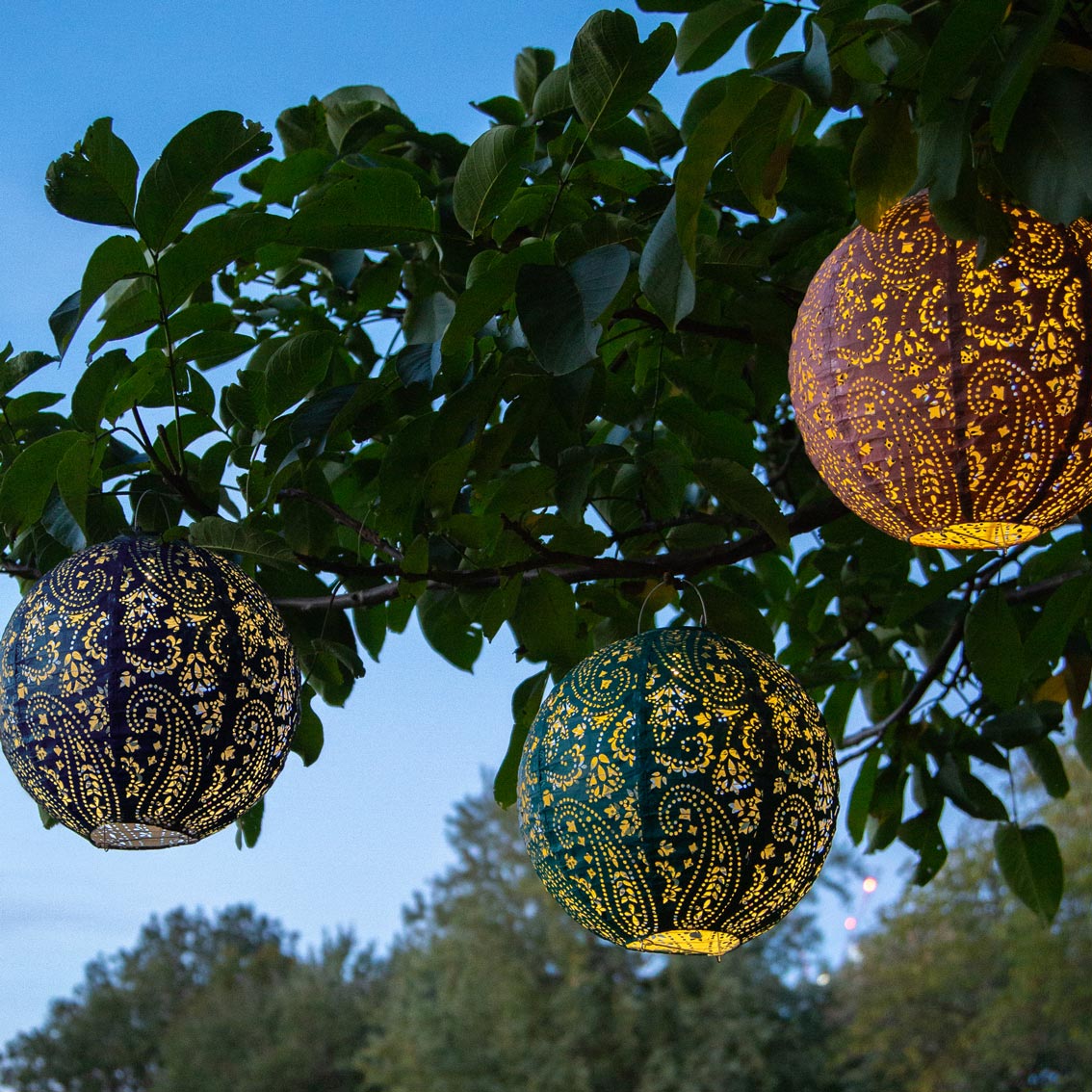 3 Solar lanterns hanging in the tree