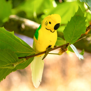 Carnival Fiesta Tropical Birds