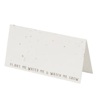 Natural Meadow Seed Paper Place Cards - 20 Pack