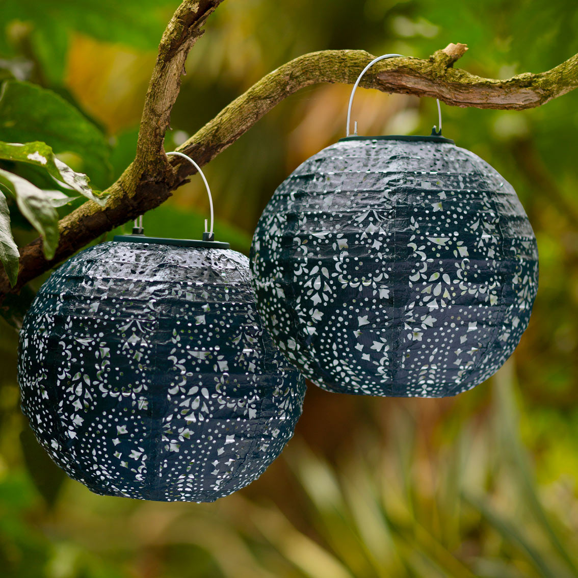 Navy solar lanterns hanging in the summer sun