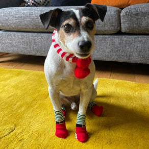 Christmas Non Slip Dog Socks - 4 Pack